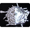 -  Rich Led 10 , 100 LED, IP65 ()  