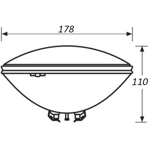      300  General Electric  PAR 56, 12 