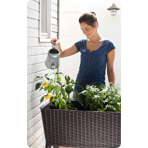     Keter EASY GROW,   