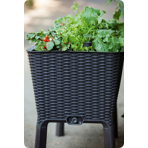     Keter EASY GROW,   