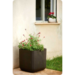   () Keter CUBE PLANTER M, 22,   521