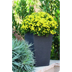   () Keter Rattan Planter M 55,4L, 