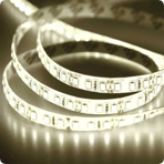   12  Neon-Night IP65, SMD 3528, 120 /,  ,  100 